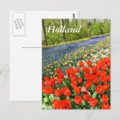 Tulpen in bossen briefkaart (Voorkant / Achterkant)