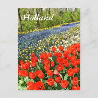 Tulpen in bossen briefkaart