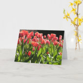 Tulpen in de Openbare Tuin Kaart (Gele Bloem)