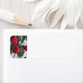 Tulpen in de sneeuw adresetiketten etiket (Insitu)