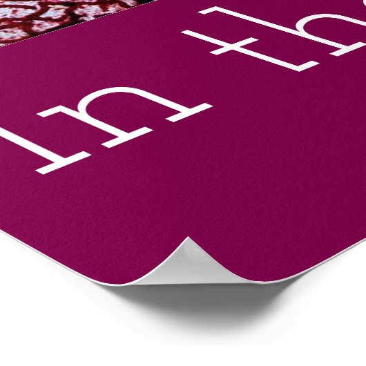 Tulpen in de tuin Poster (Hoek)