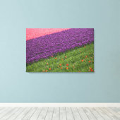 Tulpen in de tuinen van Keukenhof, Amsterdam, 2 Canvas Afdruk (Insitu (Houten vloer))