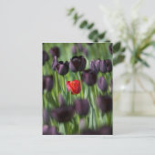 Tulpen in de tuinen van Keukenhof, Amsterdam; Briefkaart (Staand voorkant)