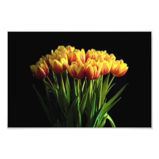 Tulpen in de ventilatorfase foto afdruk (Voorkant)