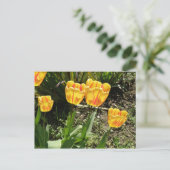 Tulpen in de zon Briefkaart (Staand voorkant)