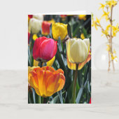 Tulpen in de Zon Kaart (Gele Bloem)