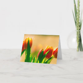 Tulpen in de zon kaart