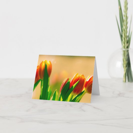 Tulpen in de zon kaart (Voorkant)