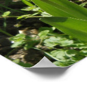 Tulpen in de zon poster (Hoek)