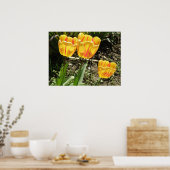 Tulpen in de zon poster (Keuken)