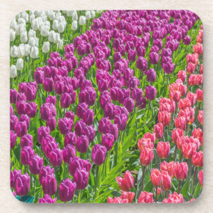 Tulpen in drie kleuren harde plastic onderzetters