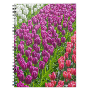 Tulpen in drie kleurennotitieboekje notitieboek