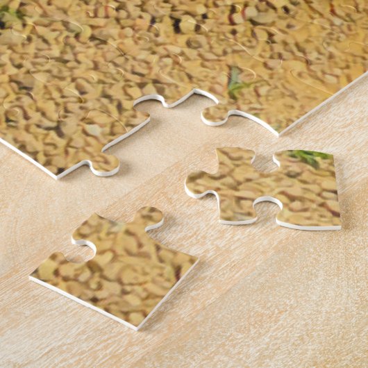 Tulpen in een potpuzzel legpuzzel (Zijkant)