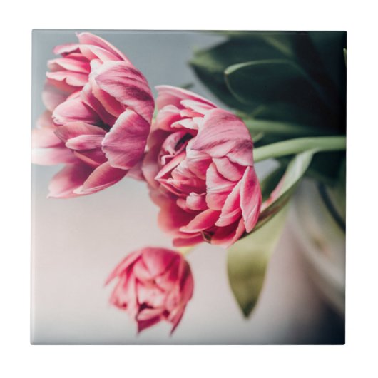 Tulpen in een Vase Tegeltje (Voorkant)
