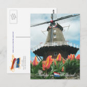 Tulpen in het Briefkaart Holland (Voorkant / Achterkant)