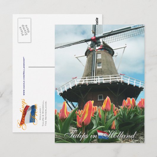 Tulpen in het Briefkaart Holland (Voorkant / Achterkant)