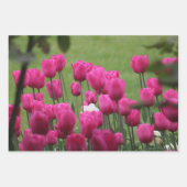 Tulpen in het Koninklijk Paleis Inpakpapier Vel (Voorkant)