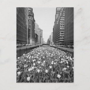 Tulpen in het midden van de stad straat briefkaart