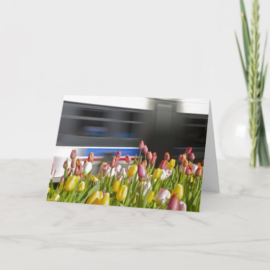 Tulpen in het stadsverstand kaart (Voorkant)