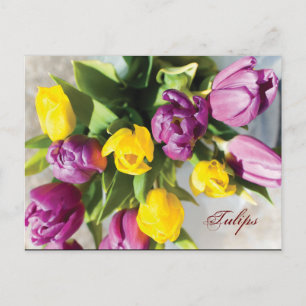 Tulpen in het voorjaar briefkaart