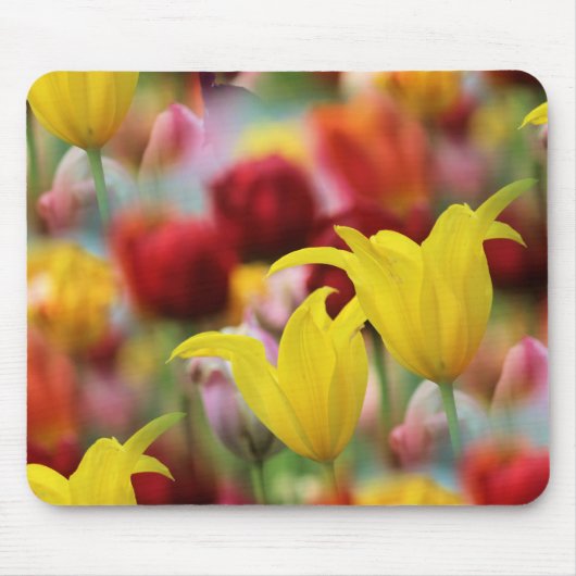 Tulpen in het voorjaar muismat (Voorkant)