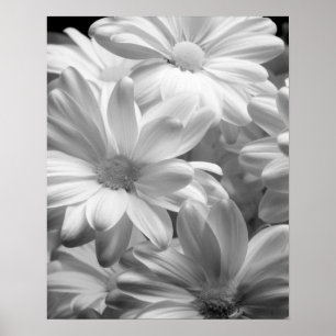 Tulpen in Keukenhof Gardens, Holland. 2 Poster