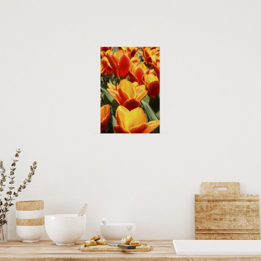 Tulpen in Keukenhof Gardens, Holland. Poster (Keuken)