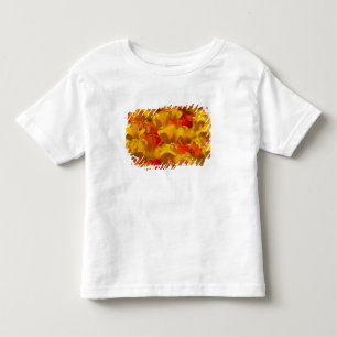 Tulpen in Keukenhof-tuinen, Amsterdam, 2 Kinder Shirts