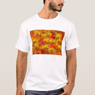 Tulpen in Keukenhof-tuinen, Amsterdam, 2 T-shirt