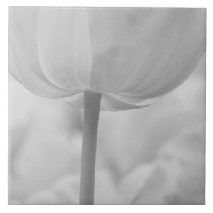 Tulpen in Keukenhof-tuinen, Holland. Tegeltje
