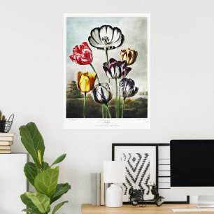 Tulpen in meerdere kleuren in de sfeervolle regenc poster