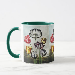 Tulpen in meerdere kleuren in de sombere Regency-s Mok