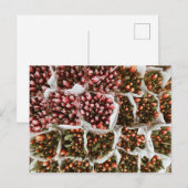 Tulpen in Nederland Briefkaart (Voorkant / Achterkant)