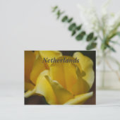 Tulpen in Nederland Briefkaart (Staand voorkant)