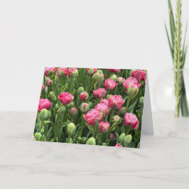 Tulpen in overvloed Lege Wenskaart Kaart