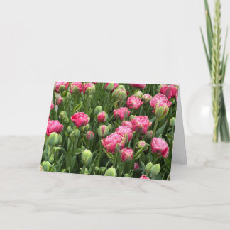 Tulpen in overvloed Lege Wenskaart Kaart