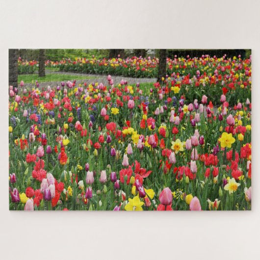 Tulpen in Springtime tuinpad kleurrijk groot Legpuzzel (Horizontaal)
