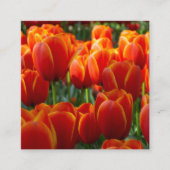 Tulpen Informatiekaartje (Voorkant)