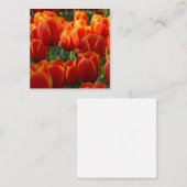 Tulpen Informatiekaartje (Voorkant / Achterkant)