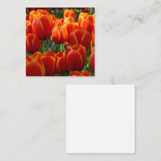 Tulpen Informatiekaartje (Voorkant / Achterkant)