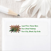 Tulpen instortend ontwerp labels (Insitu)
