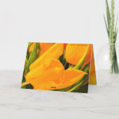 Tulpen Kaart (Achterkant)
