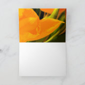 Tulpen Kaart (Binnen)