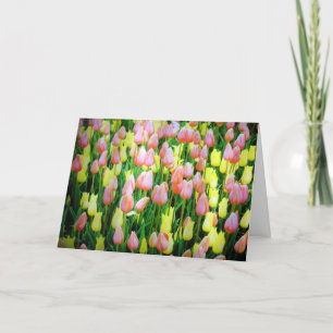 tulpen kaart