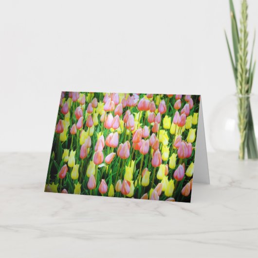 tulpen kaart (Voorkant)