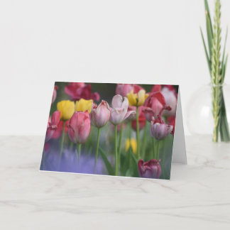 Tulpen Kaart