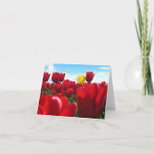 Tulpen Kaart (Voorkant)