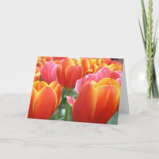 Tulpen Kaart
