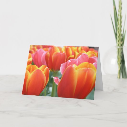 Tulpen Kaart (Voorkant)