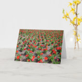 Tulpen, kaart (Gele Bloem)
